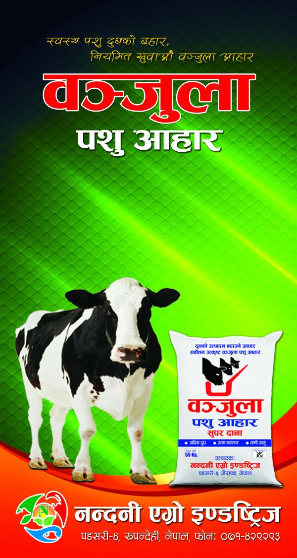 Nandini Agro Industries (Butwal, Nepal) - Contact Phone, Address
